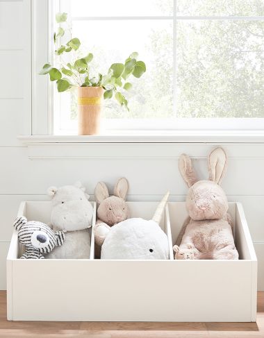 Toy Storage