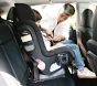 UPPAbaby® Rove Convertible Car Seat