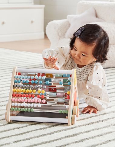 Baby Developmental Toys