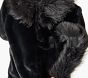 Black Cat Halloween Costume
