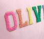 Stoney Clover Lane Personalized Name Pillow Cover