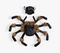 Fuzzy Spider Baby Carrier Costume Accessory