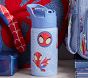 Marvel's Spidey and His Amazing Friends Glow-In-The-Dark Mackenzie Water Bottle