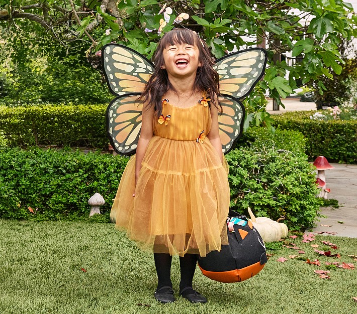monarch butterfly dress and yet their numbers continue to decrease because of climate change and habitat loss Whispering Wings" Couture Butterfly Gown