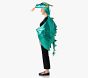 Adult Dragon Wings Accessory