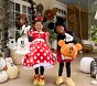 Disney Mickey Mouse Pumpkin Halloween Treat Bag