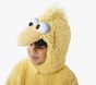 Sesame Street® Big Bird Costume