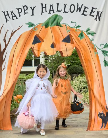 Halloween Accessories & House Decor | Pottery Barn Kids