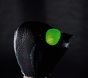 Glow-in-the-Dark Beetle Halloween Costume