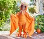 Light-Up Pterodactyl Halloween Costume