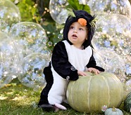 Halloween Accessories & House Decor | Pottery Barn Kids