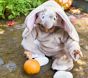 Disney Baby Dumbo Halloween Costume