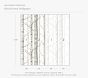 Wallpaperie Birch Forest Wallpaper