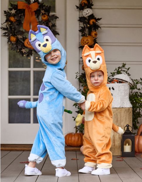<i>Bluey</i>