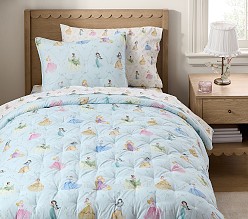 Disney Princess Enchanted Comforter & Shams