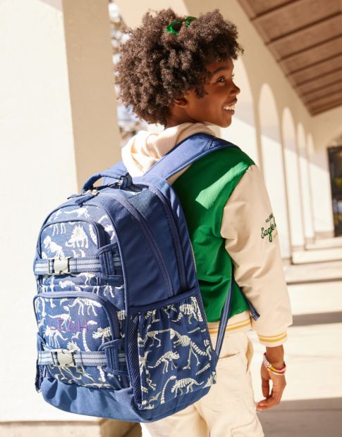 Backpacks &amp; Lunch