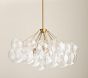 Alternate View
