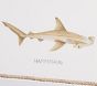 Shark Art Collection (16"x 12")