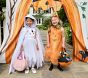 Happy Halloween Outdoor Canvas Pumpkin Arch