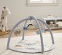 Dino Activity Gym