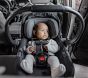 UPPAbaby<sup>&reg;</sup> Aria V2 Car Seat