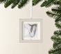Silverleaf Square Dated Frame Ornament