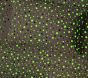 Shining Star Glow-in-the-Dark Cotton Sheet Set