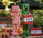 Kids Minecraft Creeper Halloween Costume