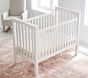 Cheetah Organic Crib Fitted Sheet