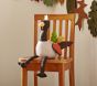 Thanksgiving Turkey Plush