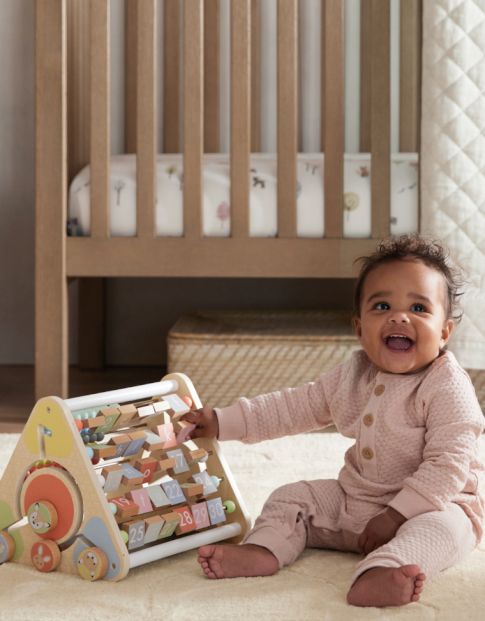 Baby Developmental Toys