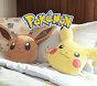 Video 1 for Pokémon Eevee Fuzzy Kid Throw Blanket