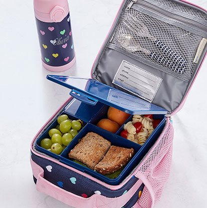 insulated dino lunch box
