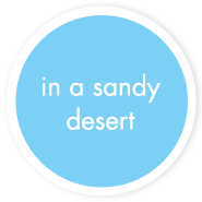 In a sandy desery