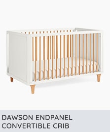 dawson endpanel convertible crib