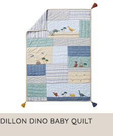 dillon dino baby quilt