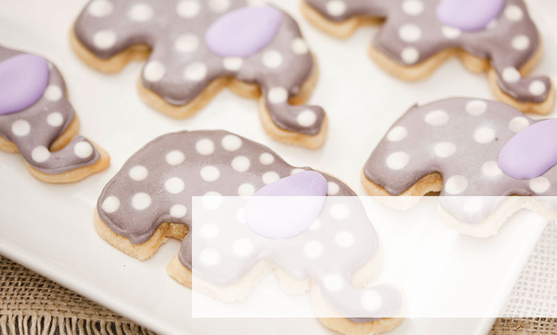 Elephant Sugar Cookies