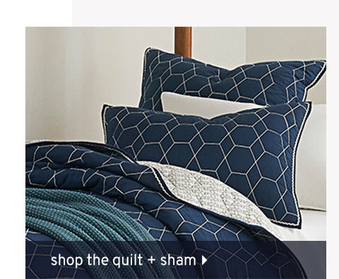 Shop the Quilt + Sham