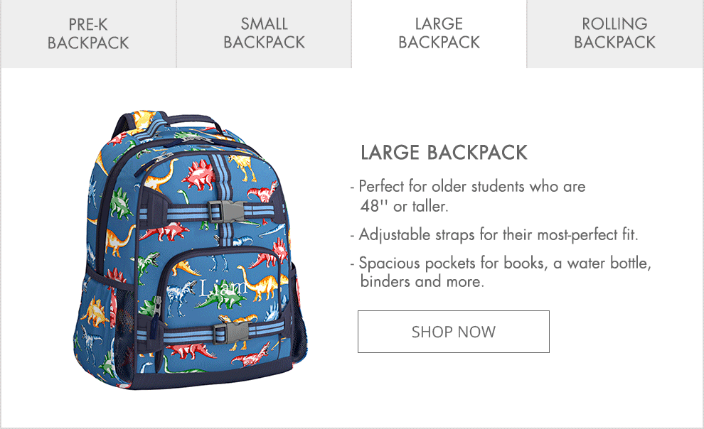 Large Backpack