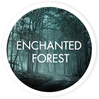 Enchanted Forest