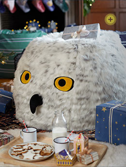 Harry Potter for Pottery Barn Kids