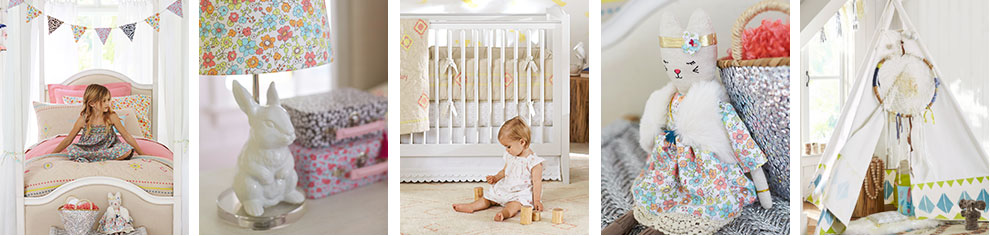 Explore the Collection