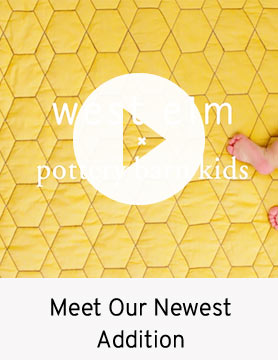 Meet Our Newest Addition