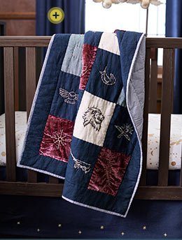 Harry Potter for Pottery Barn Kids