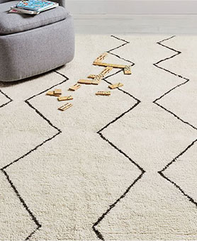 Shop the rug