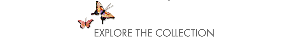 Explore the Collection