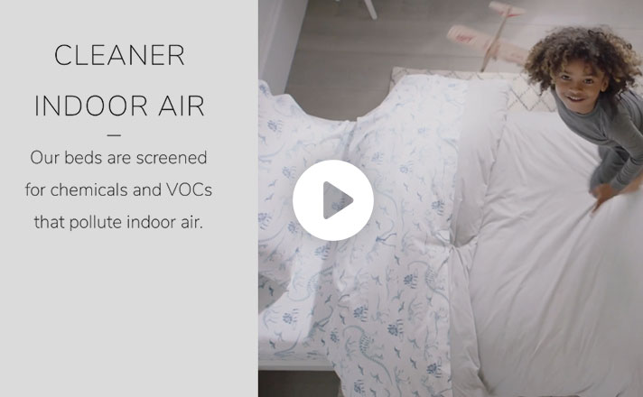 Whose Quality is Better Video