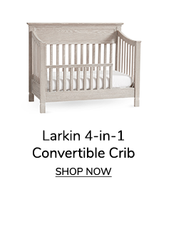 Larkin 4-in-1 Covertible Crib