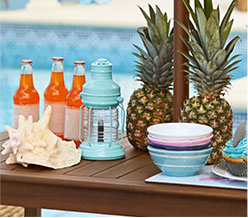 Party Decor & Favors