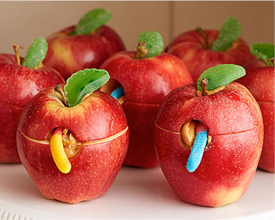 recipe photo